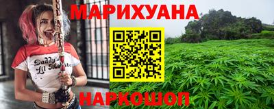 сатива Будённовск