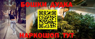 сатива Будённовск