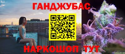 сатива Будённовск
