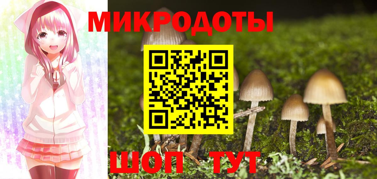 Псилоцибиновые грибы Psilocybine cubensis Чайковский
